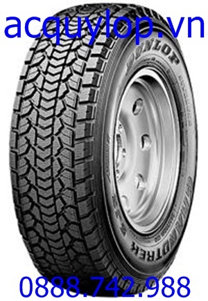 Lốp vỏ xe ô tô Dunlop 205/45R17 SPT MAXX Nhật