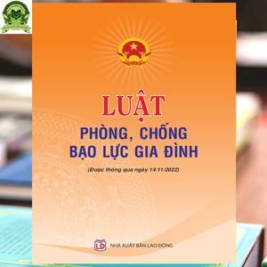 Luật phòng chống bạo lực gia đình