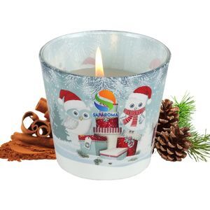 Ly nến thơm tinh dầu Bartek Winter Owls 115g QT02787 - tuyết, thông, len