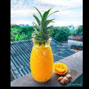 Ly thủy tinh Libbey Tiki Pineapple