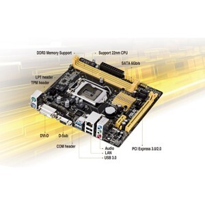 Mainboard Asus H81M-P (Chipset Intel H81/ Socket LGA1150/ VGA onboard)