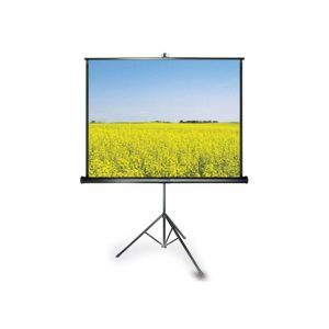 Màn chiếu 3 chân Grandview Fantasy 120 inch