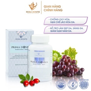 Màn chiếu Prima - 60” x 60”, 3 chân