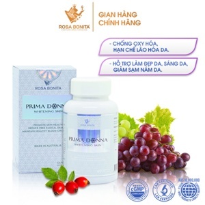 Màn chiếu Prima - 60” x 60”, 3 chân