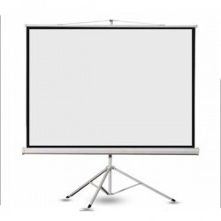 Màn chiếu đứng Dalite - 70 x 70 inch (1.78 x 1.78 m)