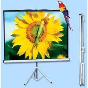 Màn chiếu đứng Grandview PT-H84x84WM - 84 x 84 inch (2.13 x 2.13 m)