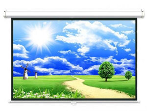 Màn chiếu điện Dalite - 120 x 120 inch (3.05m x 3.05m)