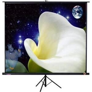 Màn chiếu điện DALITE 84x63