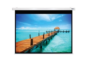 Màn chiếu điện Dalite PW180ES