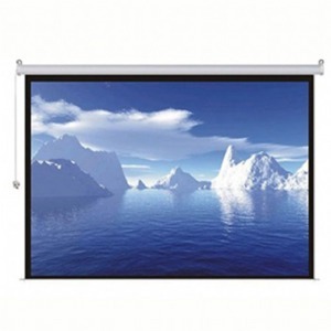 Màn chiếu Điện Dalite PW250ES - 250 inch (Kích thước: 5,10m x 3,8m)