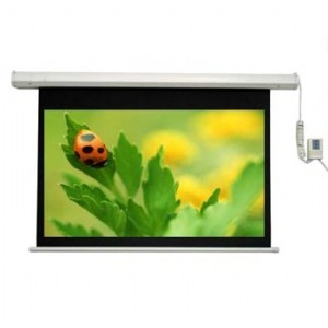 Màn chiếu Điện Dalite PW300ES 300Inch