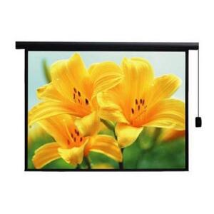 Màn chiếu điện Herin 120” x 90”