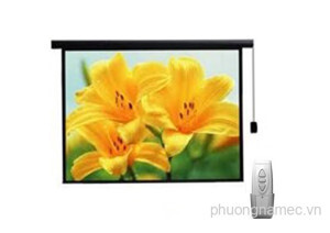 Màn chiếu điện Regent - 120 x 90 inch (3.05m x 2.29m)