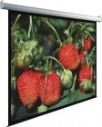 Màn chiếu điện tử Apollo ELS180 - 100 inch