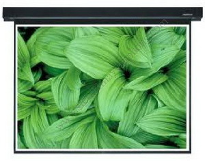 Màn chiếu điện tử Apollo ELS220