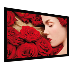 Màn chiếu DNP Core 100 inch