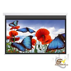 Màn chiếu DNP Flex 100 inch