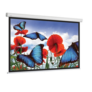 Màn chiếu DNP Flex 100 inch