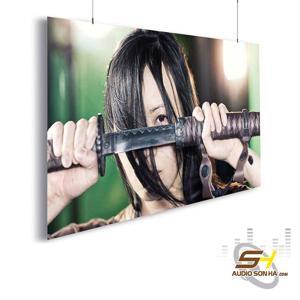 Màn chiếu DNP Supernova Blade 120 Inch (16:9)