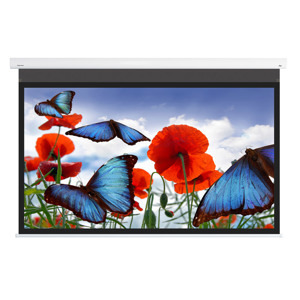 Màn chiếu DNP Supernova Flex 120 inch