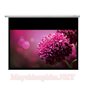 Màn chiếu Grandview CB-MI133