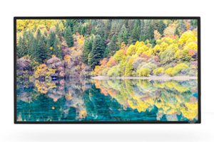 Màn chiếu Grandview LF-PE120