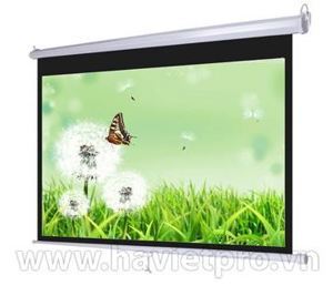 Màn chiếu treo ScreenPro MS96 - 96 x 96 inch (2.44 x 2.44 m)