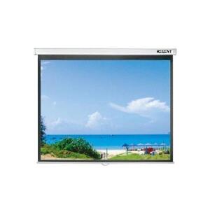 Màn chiếu treo tường Apollo 120 inch (96” x 72”)