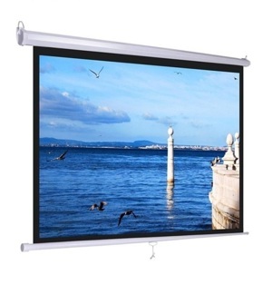 Màn chiếu treo tường Apolo 100 inch