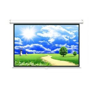 Màn chiếu treo tường cuốn tự động Dalite - 80 x 80 inch  (2.03m x 2.03m)