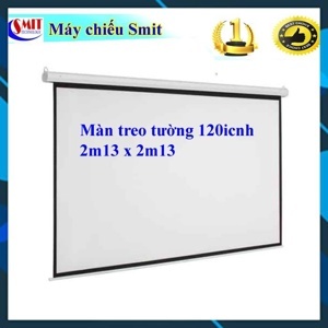 Màn chiếu treo tường Dalite - 96 x 72 inch (2.44mx1.83m)