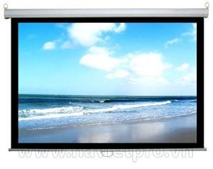 Màn chiếu treo tường Dalite P80WS