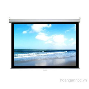 Màn chiếu treo tường Eco Screen P84WS