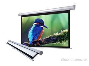 Màn chiếu treo tường Eco Screen PLW150WS