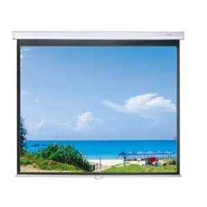 Màn chiếu treo tường Eco Screen PLW150WS