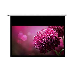 Màn chiếu treo tường Grandview Fantasy 84 inch