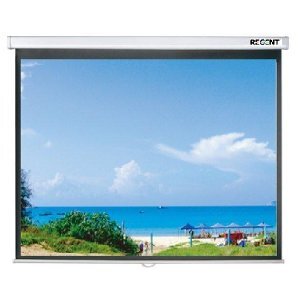 Màn chiếu treo tường Regent - 84 x 84 inch (2.13m x 2.13m)