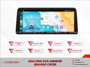 Màn hình android Bravigo Cross