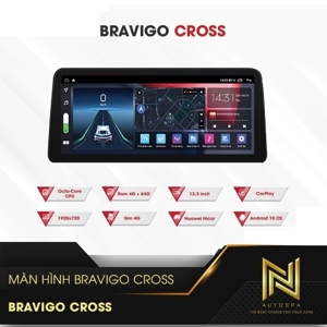 Màn hình android Bravigo Cross