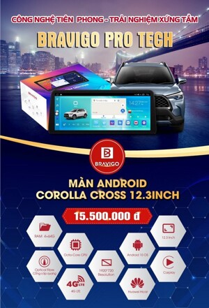 Màn hình android Bravigo Cross