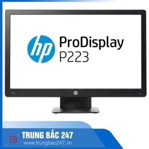 Màn hình máy tính HP P222 - 21.5 inch , Full HD (1920 x 1080)