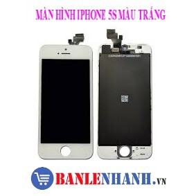 Màn hình iphone 5s