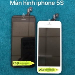 Màn hình iphone 5s