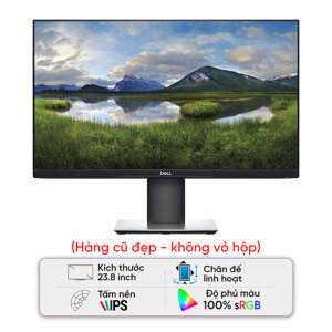 Màn hình máy tính Dell P2419H - 23.8 inch, Full HD (1920x1080)