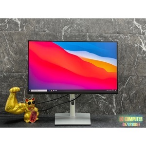 Màn hình máy tính Dell P2422H - 23.8 inch