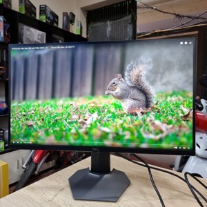 Màn hình máy tính Dell S2721DGF - 27 inch