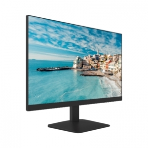Màn hình máy tính Hikvision DS-D5024FN01 - 23.8 inch