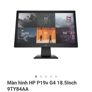 Màn hình máy tính HP P19v G4 9TY84AA - 18.5 inch