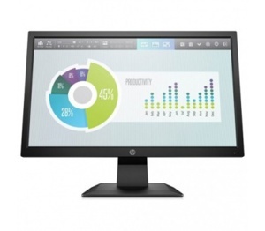 Màn hình máy tính HP P204v 5RD66AA