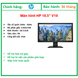 Màn hình máy tính HP V19 9TN41AA - 18.5 inch